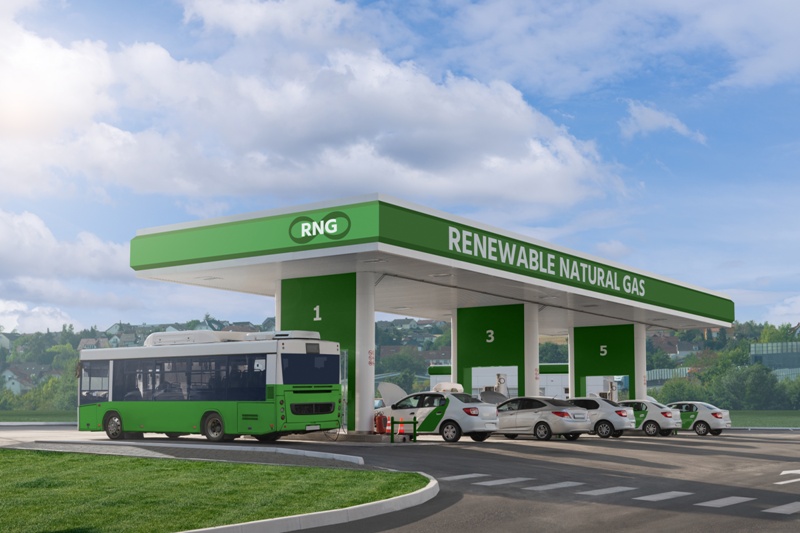 renewable Custom Innovative Packages